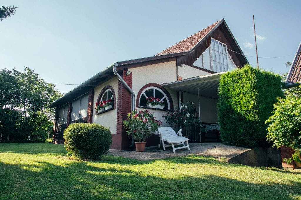 Szitakötő fotó